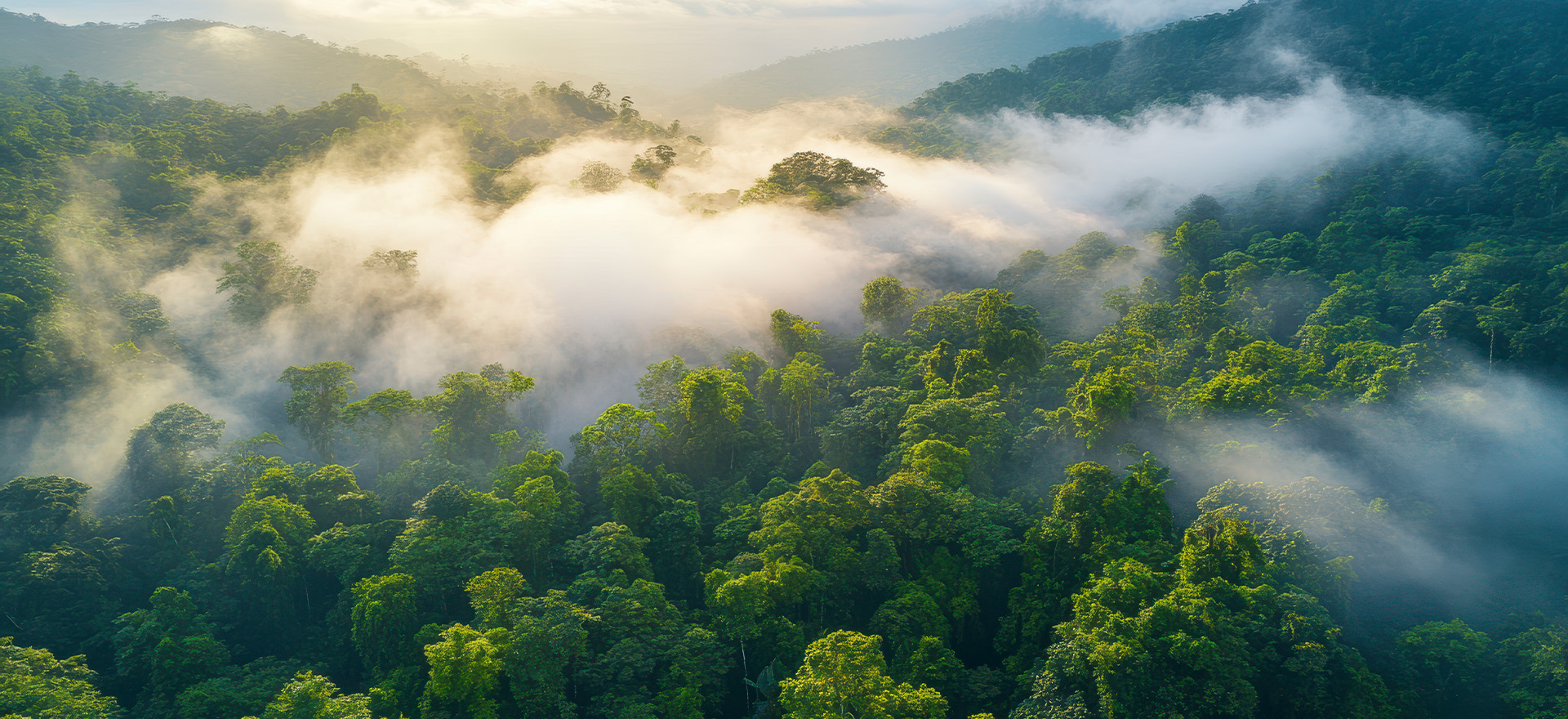 Nachhaltigkeit bei FL Tex